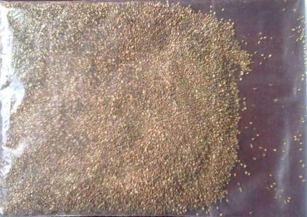 長沙東日園林工程有限公司,長沙園林綠化工程,長沙綠化養護管理